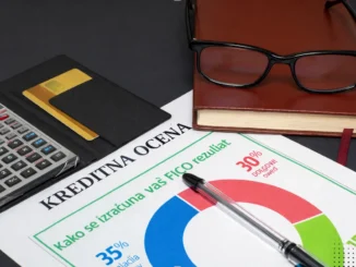 kaj-je-sisbon-bonitetna-ocena